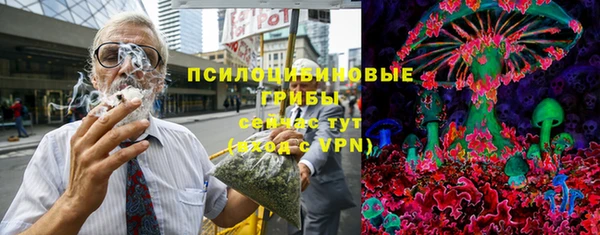 хмурый Карпинск