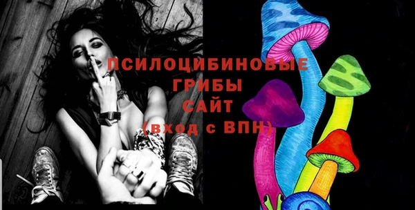 хмурый Карпинск