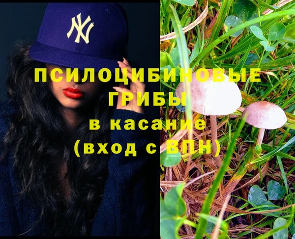 круглые Карталы